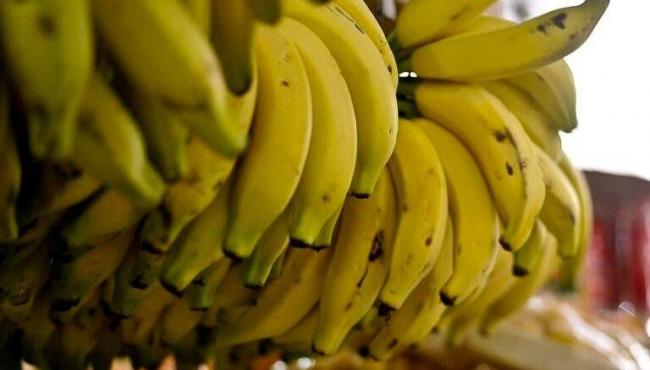 Preços da banana, da laranja e do mamão caem no atacado em maio