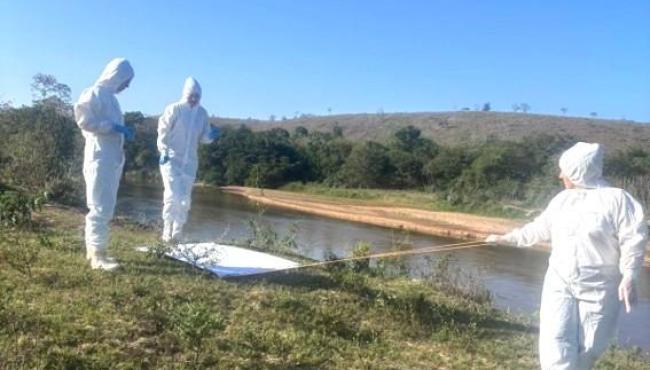 Prefeitura de Boa Esperança, no ES, reforça vigilância contra a febre maculosa com coleta de carrapatos em áreas investigadas