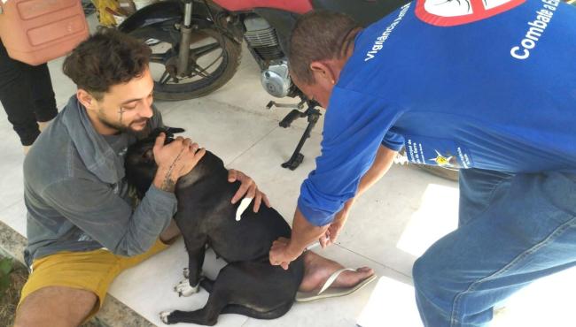 Prefeitura de Conceição da Barra, no ES, avança na campanha de vacinação antirrábica e imuniza mais de 650 animais