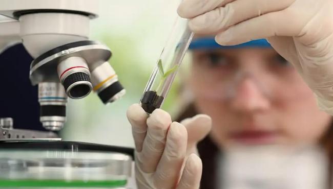 Prêmio para mulheres e meninas cientistas abre inscrições até outubro
