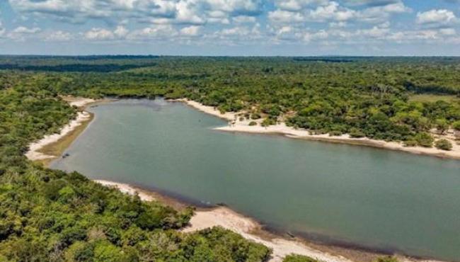 Presidente celebra menor índice de desmatamento em Unidades de Conservação na Amazônia desde 2008