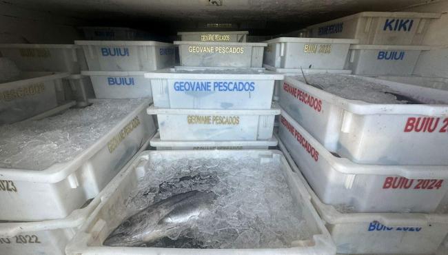 PRF apreende 10 toneladas de peixes na BR-101, no ES; carga será doada