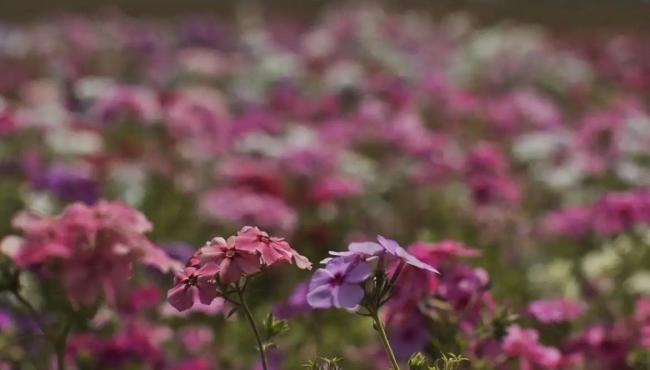 Primavera começa com chegada de frente fria, temporais e fortes ventos
