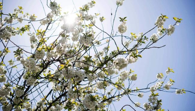 Primavera termina com sol forte e tempo abafado no Espírito Santo. Confira a previsão para o domingo (19)