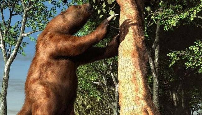 ‘Primeiros brasileiros’ faziam joias de preguiças-gigantes há 25 mil anos