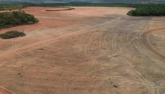 Processadoras de soja deixam acordo sobre desmatamento na Amazônia