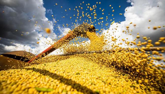 Produção agrícola brasileira superou R$ 927 bilhões em 2025