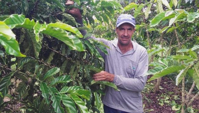 Produção de café sustentável e tecnológica recebe suporte do Incaper em Sooretama, no ES