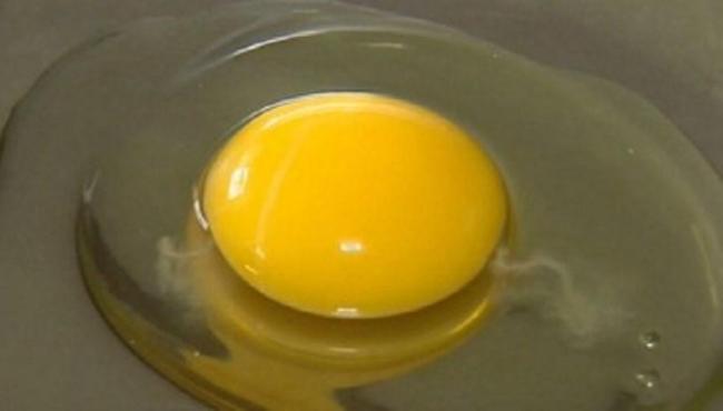 Produção de ovos orgânicos tem diversas regras