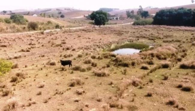 Produtores do Sul do ES sofrem com a falta de chuva há 5 meses