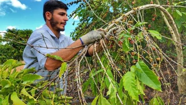Produtores rurais impulsionam resultados ambientais e econômicos do Programa Reflorestar no Espírito Santo