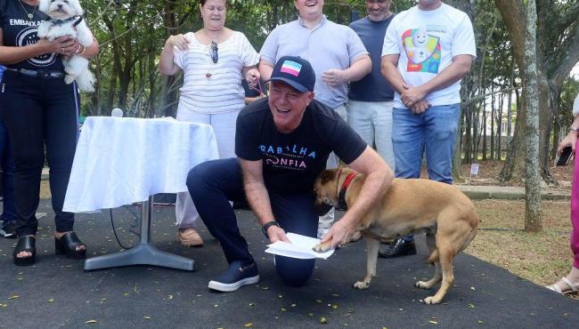 Programa de bem-estar animal do Governo do ES consegue 94% de adesão dos municípios