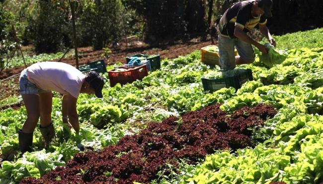 Programa Fomento Rural já beneficia 570 famílias do Espírito Santo