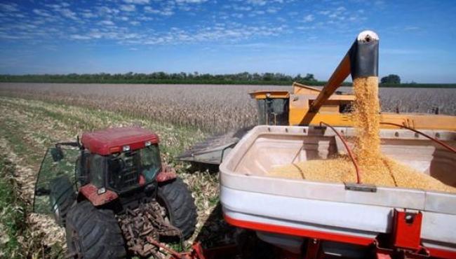 Programas do Plano Safra 2025-26 recebem mais de R$ 15,3 bilhões em recursos do BNDES