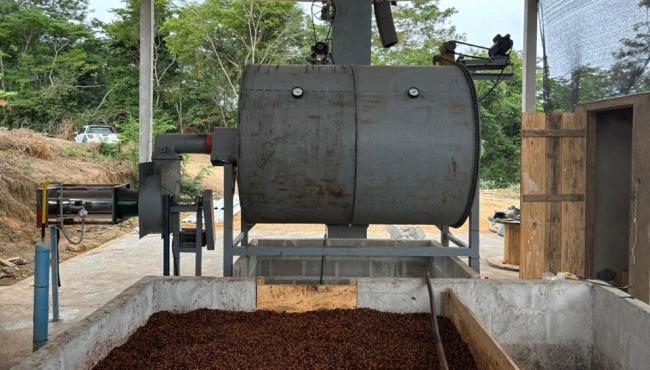 Projeto aponta aumento de produtividade e melhora da qualidade do café com uso de gás natural na secagem