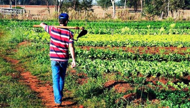 Projeto com regra para distribuição do Pronaf avança no Senado
