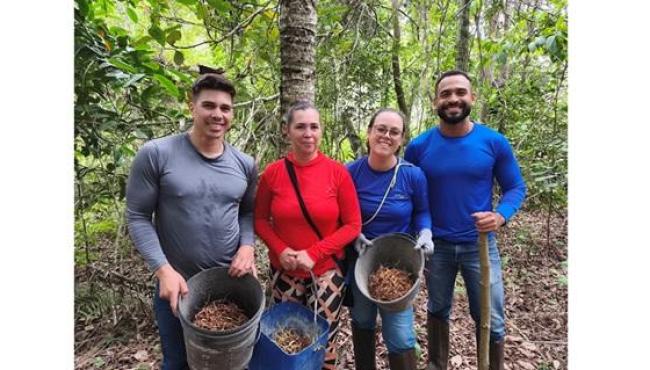 Projeto incentiva o plantio de sementes pré-germinadas de palmeira juçara, em Linhares, no ES