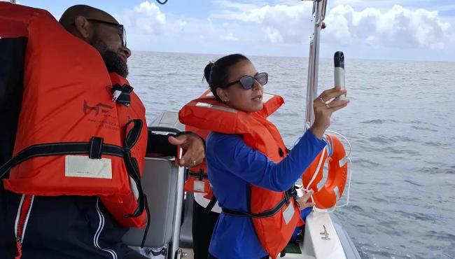 Projeto mapeia fauna marinha da Bahia por meio do DNA ambiental