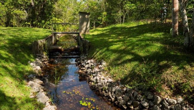 Projeto Microbacias iniciado em Aracruz há mais de três décadas, impulsiona metas de água da Suzano