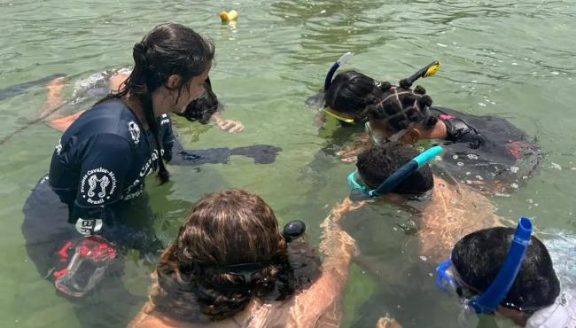 Projeto no Rio forma guardiões de cavalos-marinhos de 12 a 14 anos