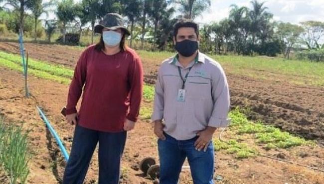 Projeto promove comercialização entre agricultura familiar e supermercados em Pedro Canário