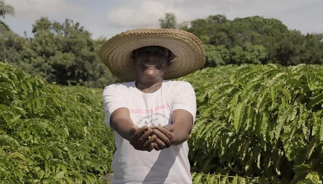 Projeto Quilombo do Café fortalece agricultura em comunidade de Conceição da Barra, no ES