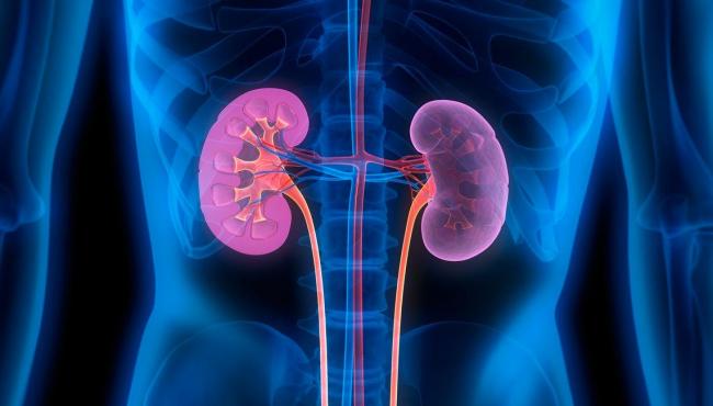 Quando um nódulo nos rins é preocupante? 6 fatos sobre o câncer renal