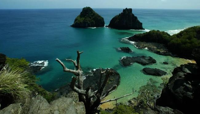 Quase 50% dos turistas usam redes como fonte de informação de viagem