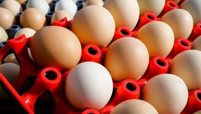 Queda histórica no preço dos ovos marca início de 2026 e surpreende produtores