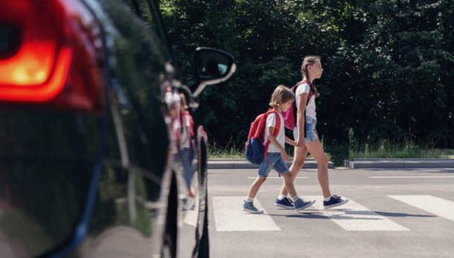 Quem tem a preferência na faixa de trânsito: pedestres ou veículos? Veja o que diz a lei