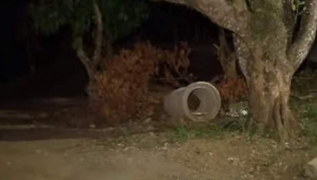 Recém-nascida é encontrada dentro de caixa em terreno, no ES