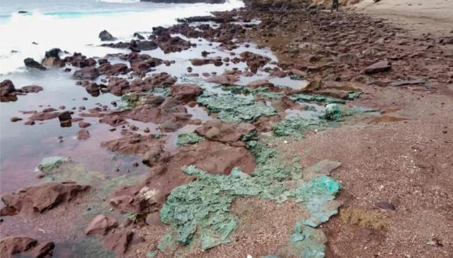 Rochas de plástico chegam a ninhos de tartarugas em ilha brasileira