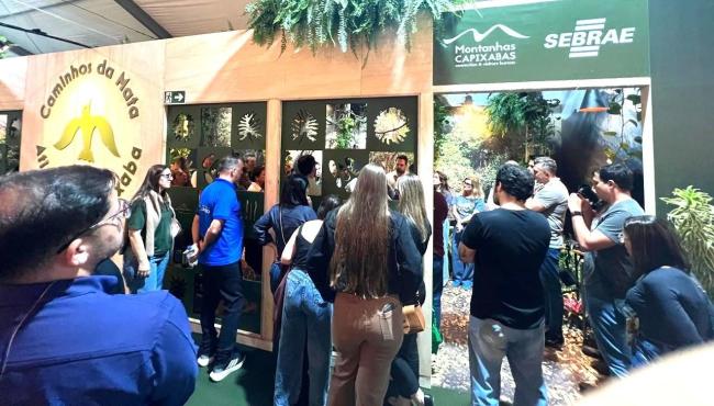 Rota Caminhos da Mata Atlântica Capixaba amplia oferta de turismo de natureza no Espírito Santo