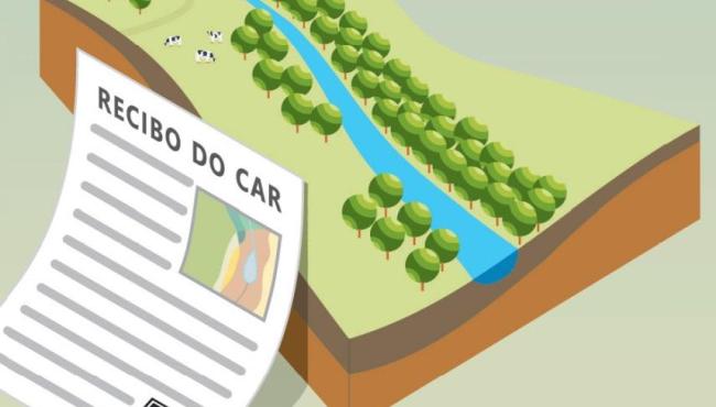 Saiba como realizar gratuitamente o Cadastro Ambiental Rural (CAR)