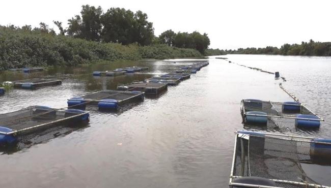 Seag promove projeto de fortalecimento da pesca e da aquicultura no Estado