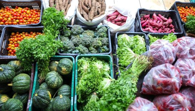 Segurança alimentar exige esforço coletivo e articulação