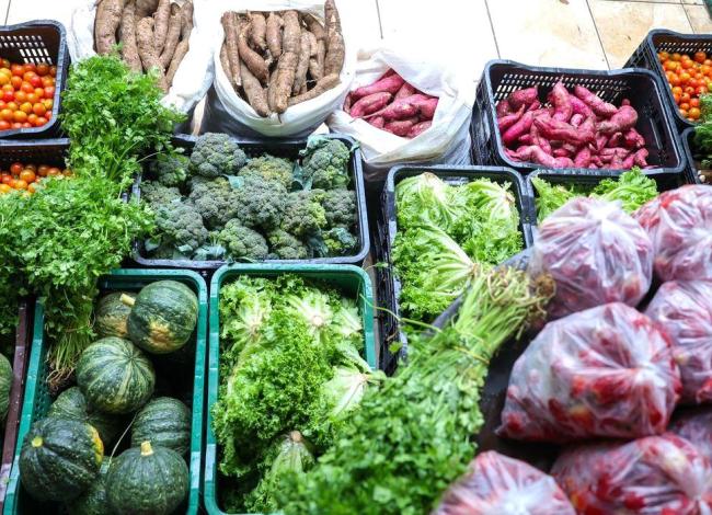 Segurança alimentar exige esforço coletivo e articulação