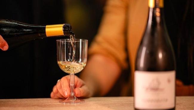 Seminário sobre uvas de inverno discute enoturismo e o futuro da vitivinicultura no Espírito Santo na RuralturES