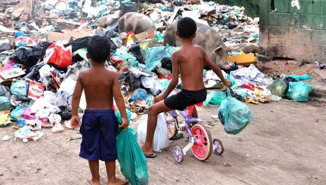 Senado aprova direito prioritário da criança a meio ambiente saudável