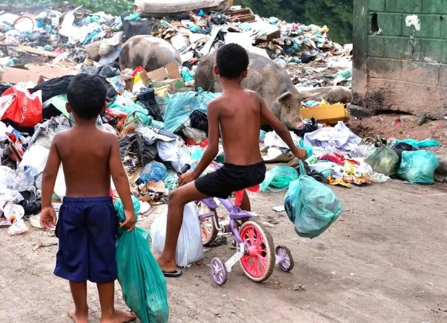 Senado aprova direito prioritário da criança a meio ambiente saudável