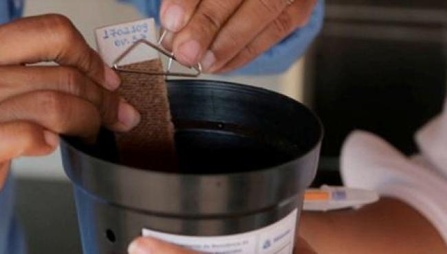 Sesa amplia estratégia de vigilância e monitoramento do Aedes aegypti no Espírito Santo