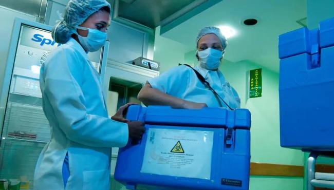 Setembro Verde: idosos também podem ser doadores vivos de órgãos