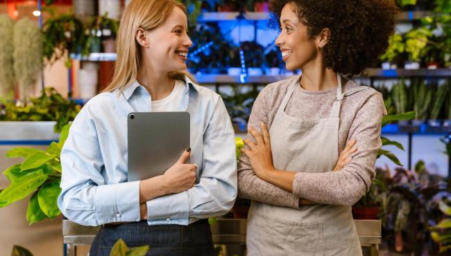 Setores de serviços e comércio concentram 84,1% das mulheres no mercado de trabalho no Espírito Santo