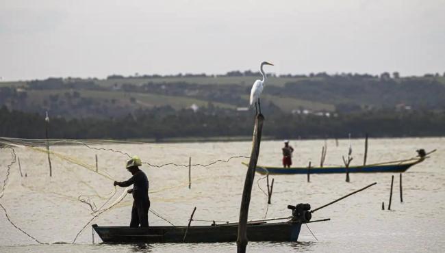 Sexto lote do seguro-defeso será disponibilizado na terça-feira (24)
