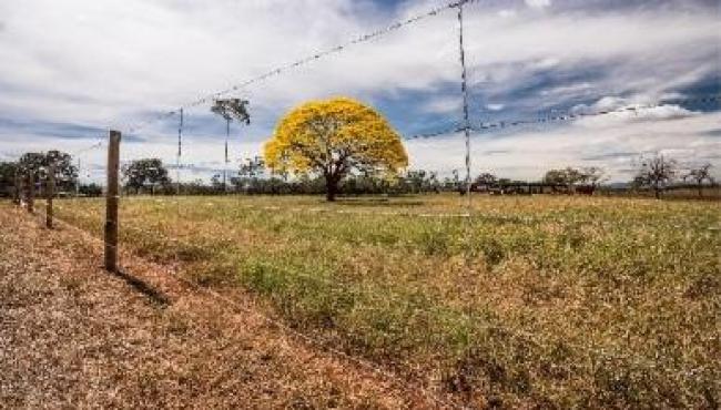 Sustentabilidade na prática: o que protege a natureza e fortalece a produção?