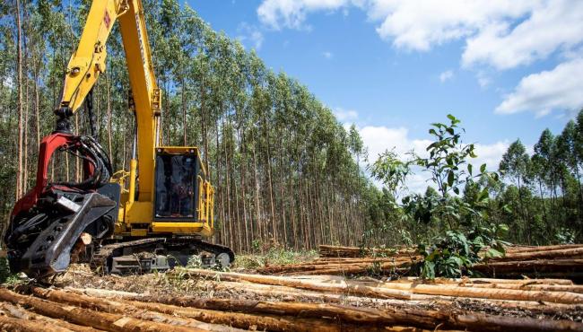 Suzano abre inscrições para curso de operador de máquinas florestais em Aracruz, ES