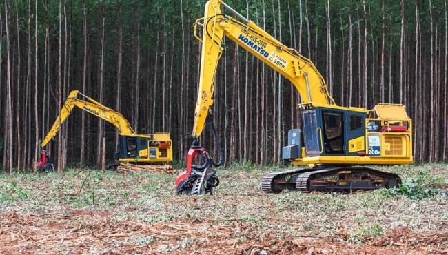 Suzano abre inscrições para formação remunerada de operadores de máquinas florestais trainee em Aracruz, no ES
