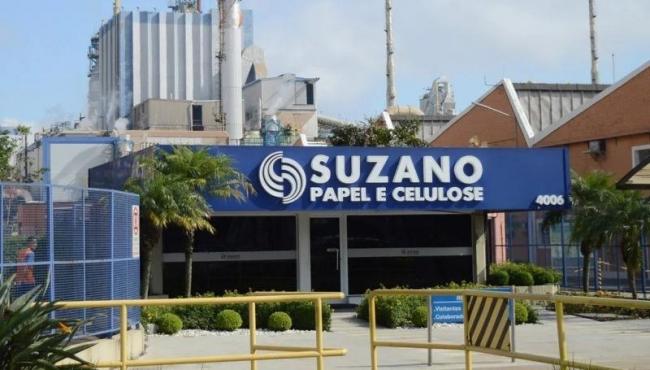 Suzano abre inscrições para o Programa de Trainee 2023