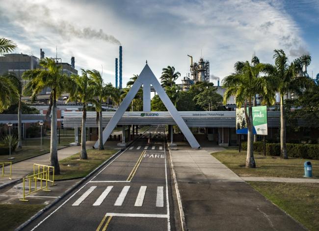 Suzano abre vagas de emprego para trabalhar em Aracruz, no ES
