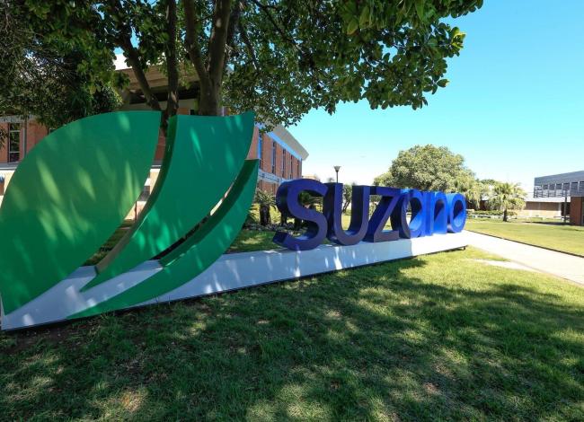 Suzano amplia rede de fornecedores para operações florestais no Espírito Santo